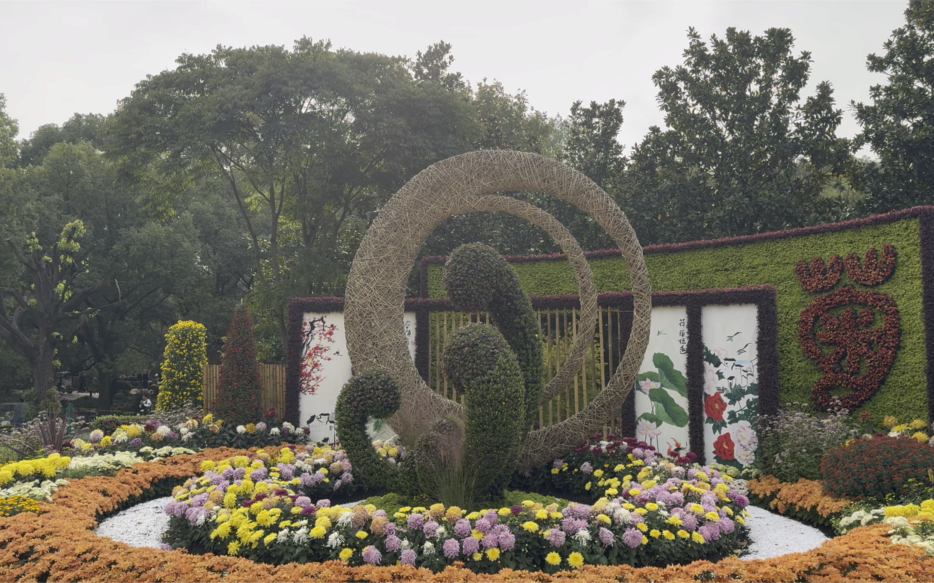 [杜比世界] 上海 云游共青国家森林公园菊花展