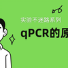 qPCR的原理