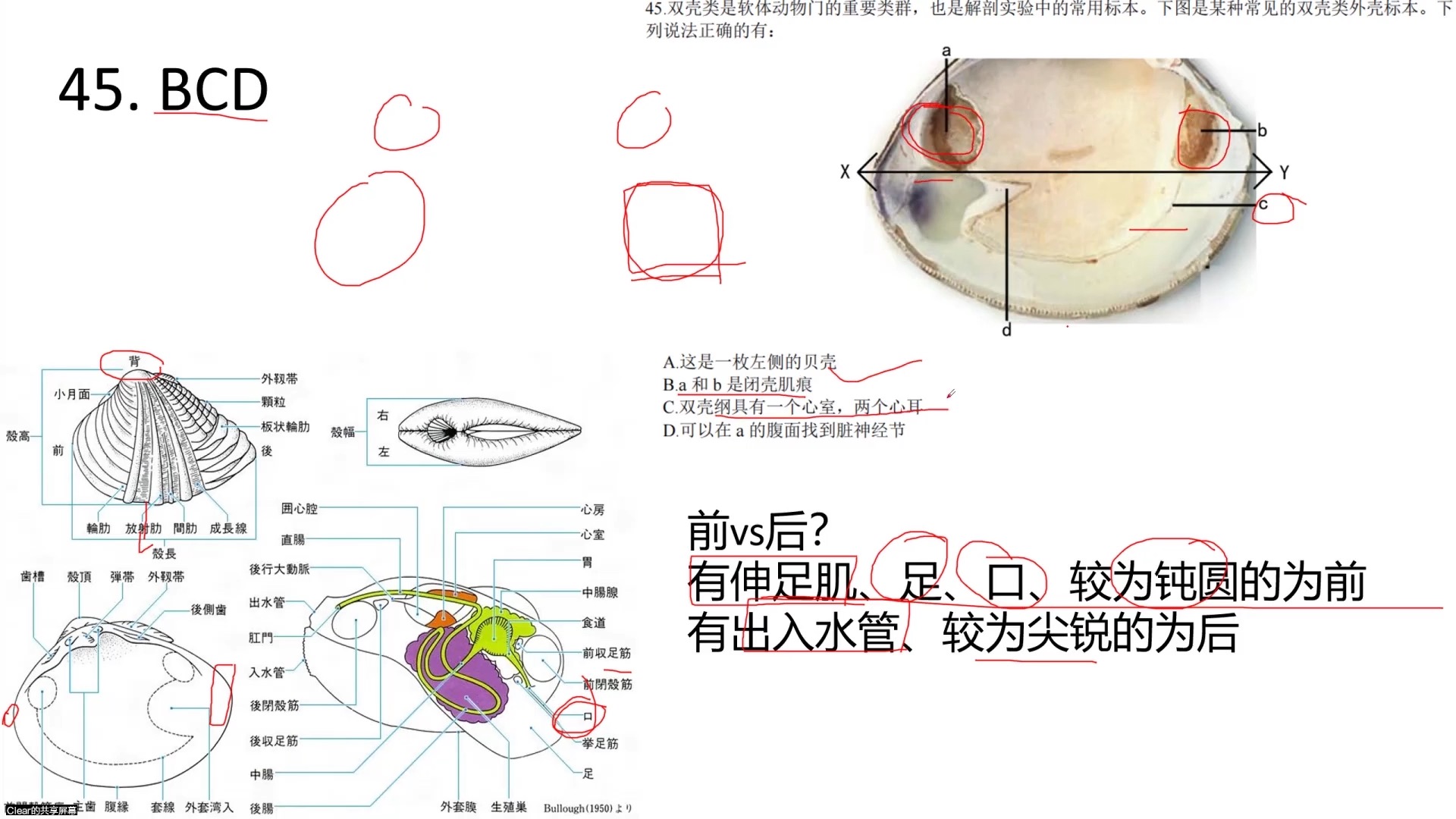 【YCBO III】愿程2024夏季联考解析第三部分