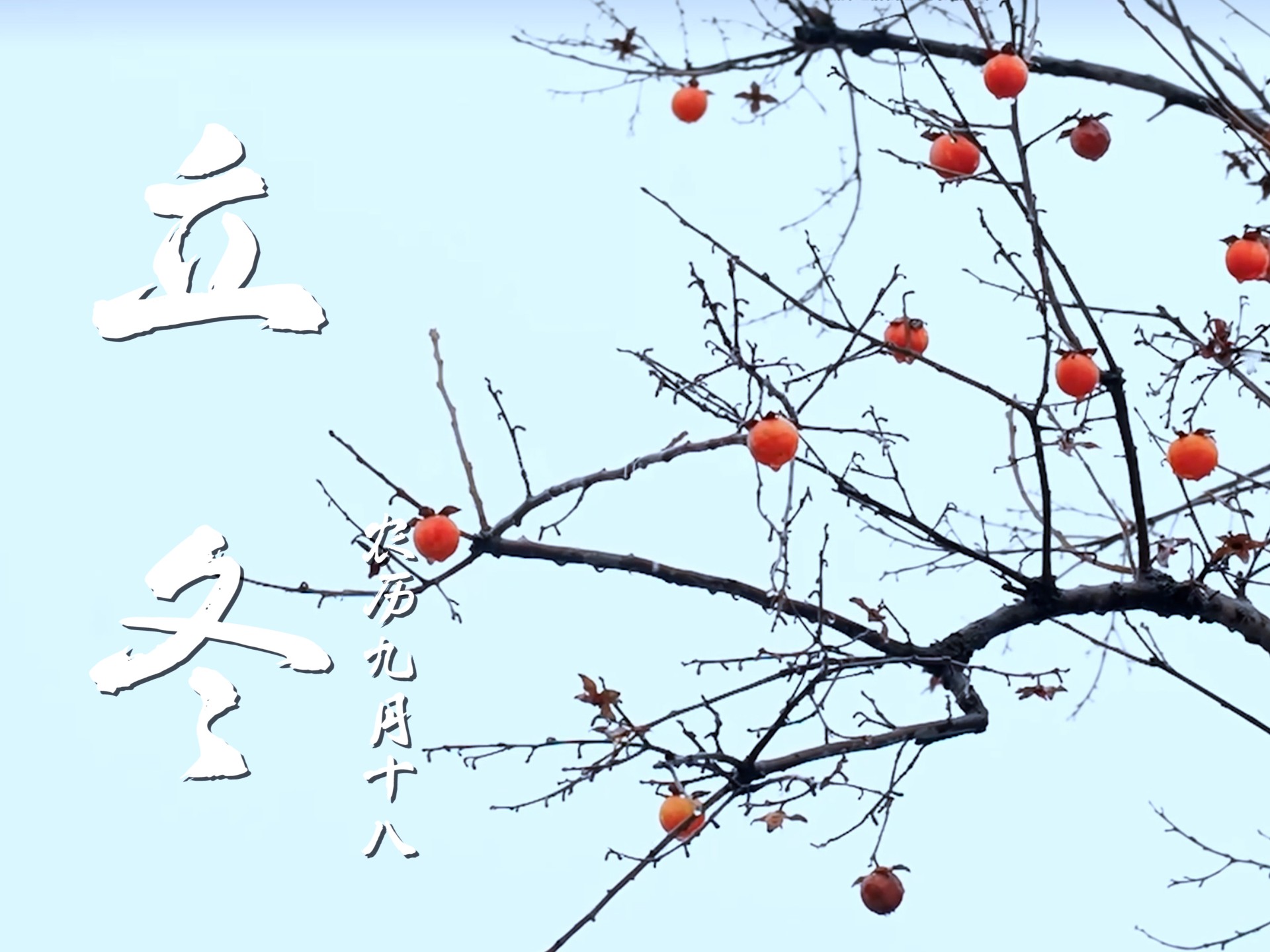 万物收藏的时节，晒秋人家的秋韵，将晕染出一整个初冬的温柔~