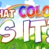 What Color Is It - Color Song for Kids - Learn your Colors -