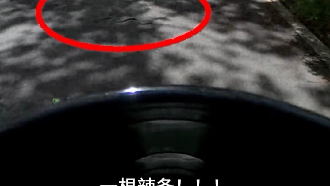 骑车偶遇辣条…