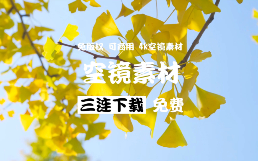 【免版权可商用 4k空镜素材】秋日氛围秋景金色银杏树4K实拍