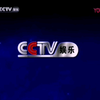 CCTV-娱乐频道2004-2019ID合集