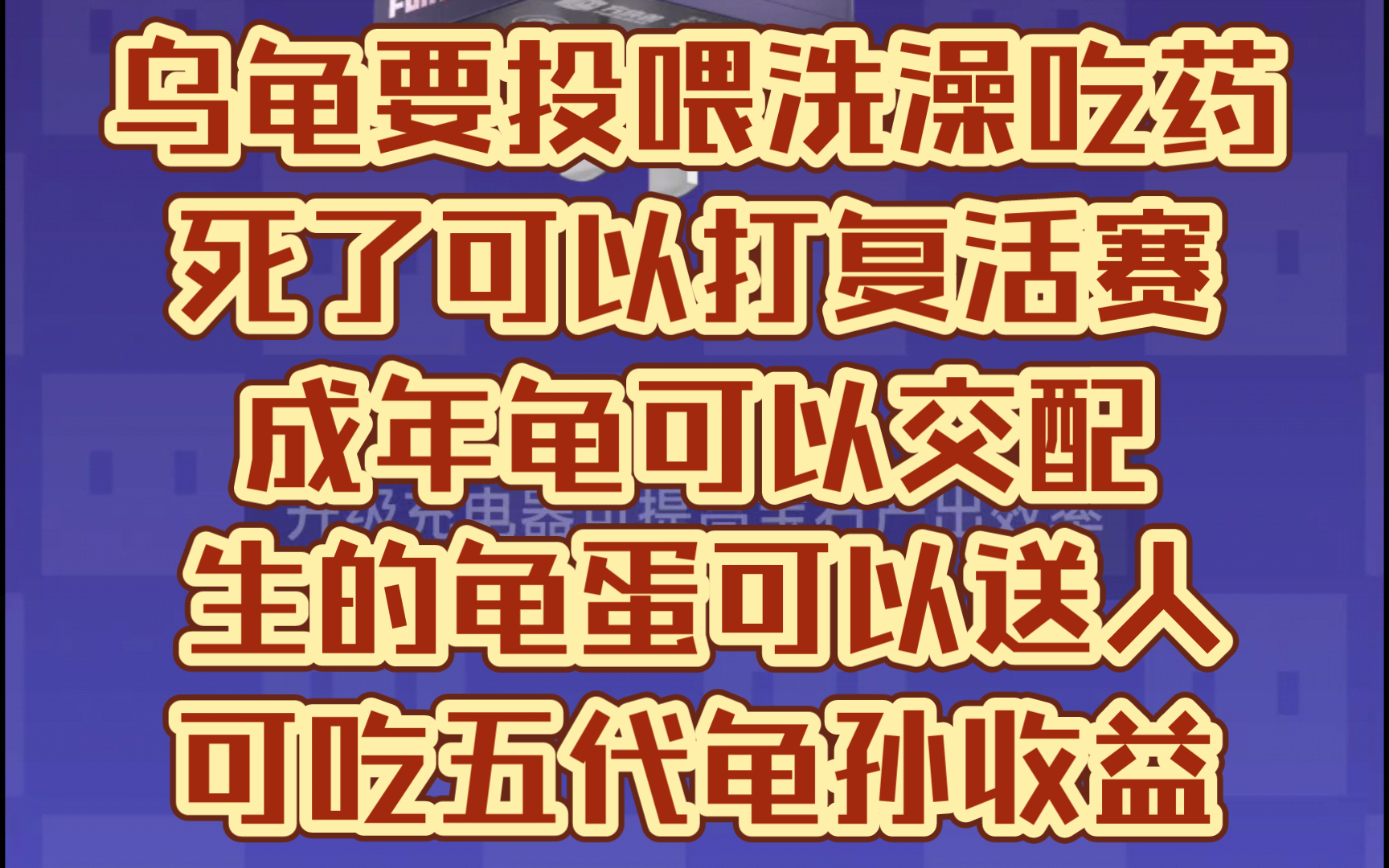 方块兽玩法播报，乌龟需要投喂，洗澡，不洗澡会不健康会死，但是可以打复活赛，老登龟可以吃小登龟提升属性，成年龟可以繁育下一代，龟蛋可以转赠，五代龟孙都可吃收益