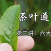 茶叶通识：2六大茶类