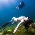水下摄影-菲律宾薄荷岛自由潜拍摄视频 成片