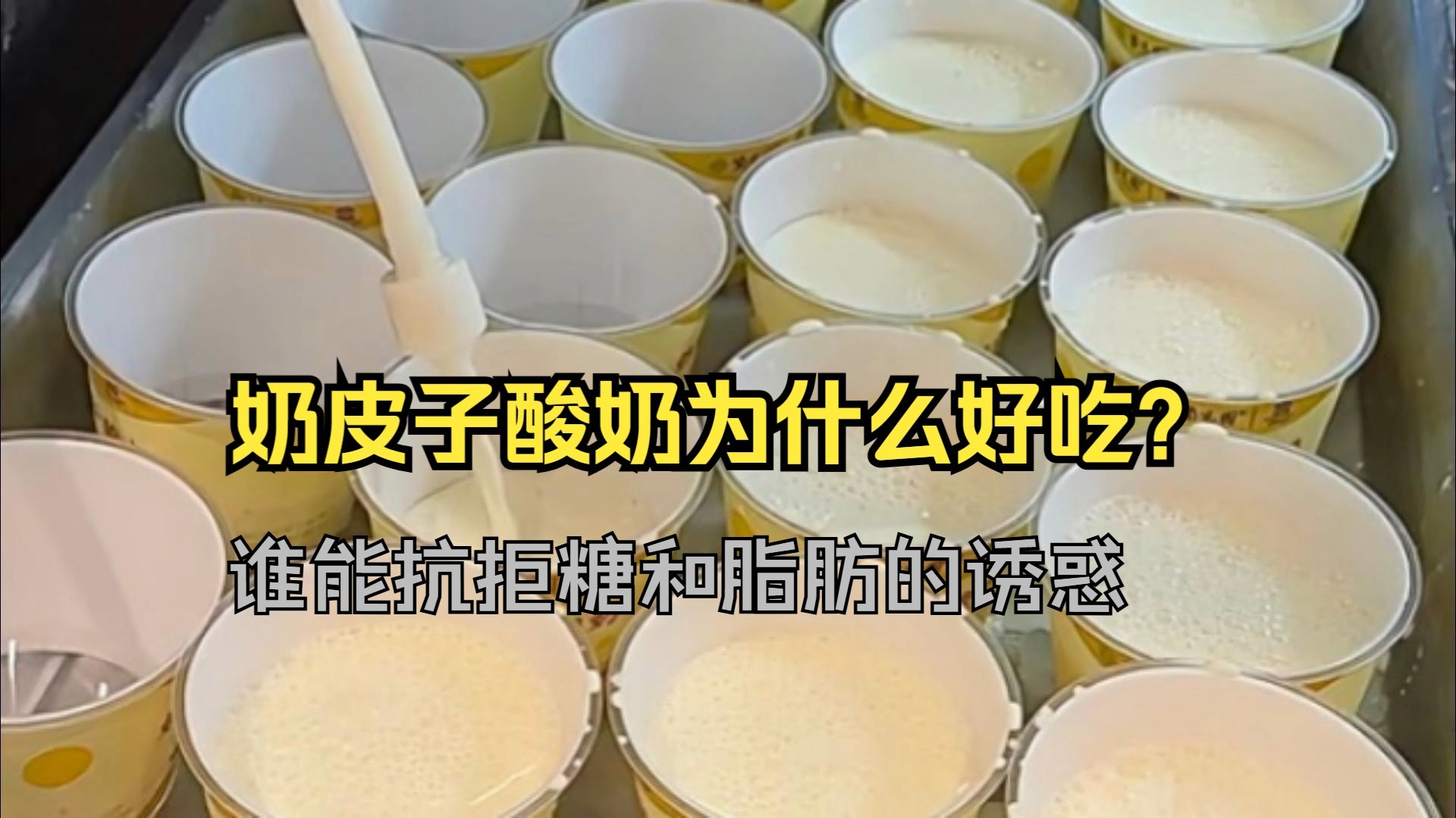 奶皮子酸奶为什么好喝？——有的网红火得有道理