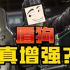 盾狗增强了？【个人见解