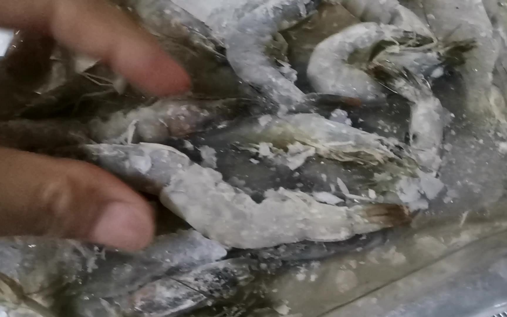 学会辨识真假海虾，海虾不能油炸的原因，河虾油炸闷，香。