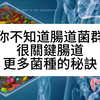 你不知道肠道菌群很关键肠道更多菌种的秘诀