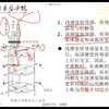 第12周，生理课，自用，下