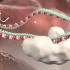 【分子生物学】microRNA沉默基因机制