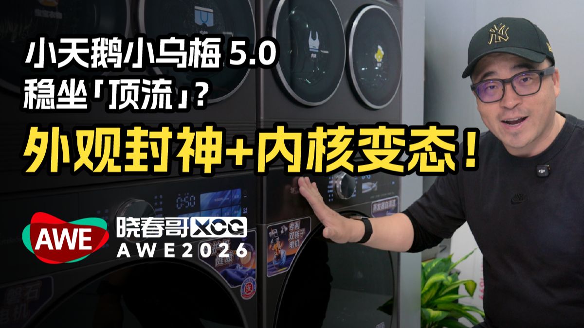 外观封神 + 内核变态！小天鹅小乌梅 5.0 要稳坐“顶流”了？