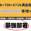 DeepSeek-R1本地+API最强部署，8b+70b+671b满血版！联网搜索+公网访问+思考推理+全终端可用！Ollama+OpenWebUI