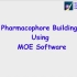 [MOE软件]通过moe进行药效团模型构建，更多信息请看简介，哇哈哈｡◕‿◕｡