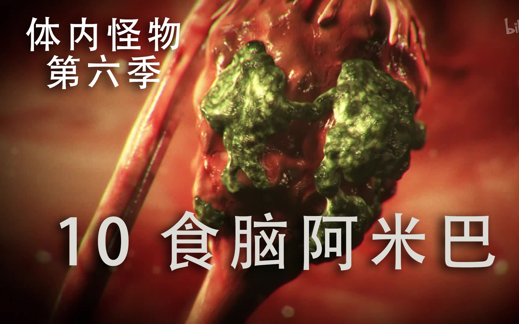 【纪录片】《体内怪物 第六季》10《食脑阿米巴》