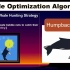 鲸鱼优化算法的简介-第一集