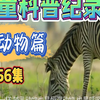 【全256集】央视推荐  让孩子知识暴涨的儿童科普动画启蒙   适合3-15岁朋友观看 培养孩子的创造力