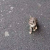 俩小儿辩日