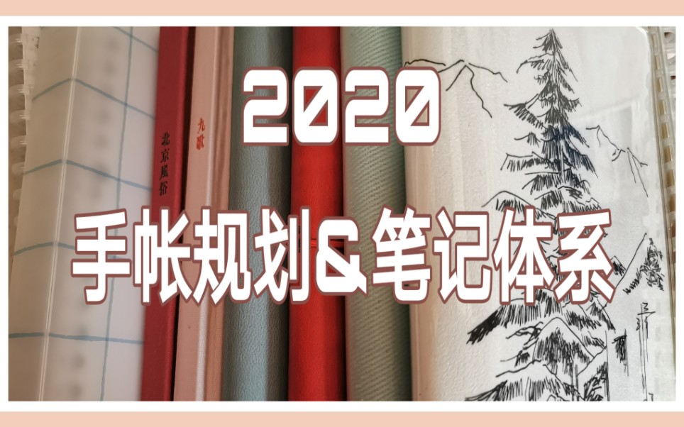 【手帐】2020手帐体系&笔记体系|日程本记录|读书学习笔记|购物记录本哔哩哔哩bilibili