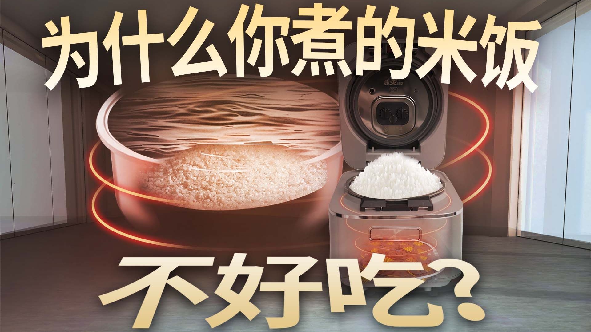 蒸的米饭好吃到底是米重要还是电饭煲更重要？揭秘电饭煲背后的知识