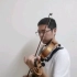 小提琴自学第300天  斗胆学了首完整版的《卡农》