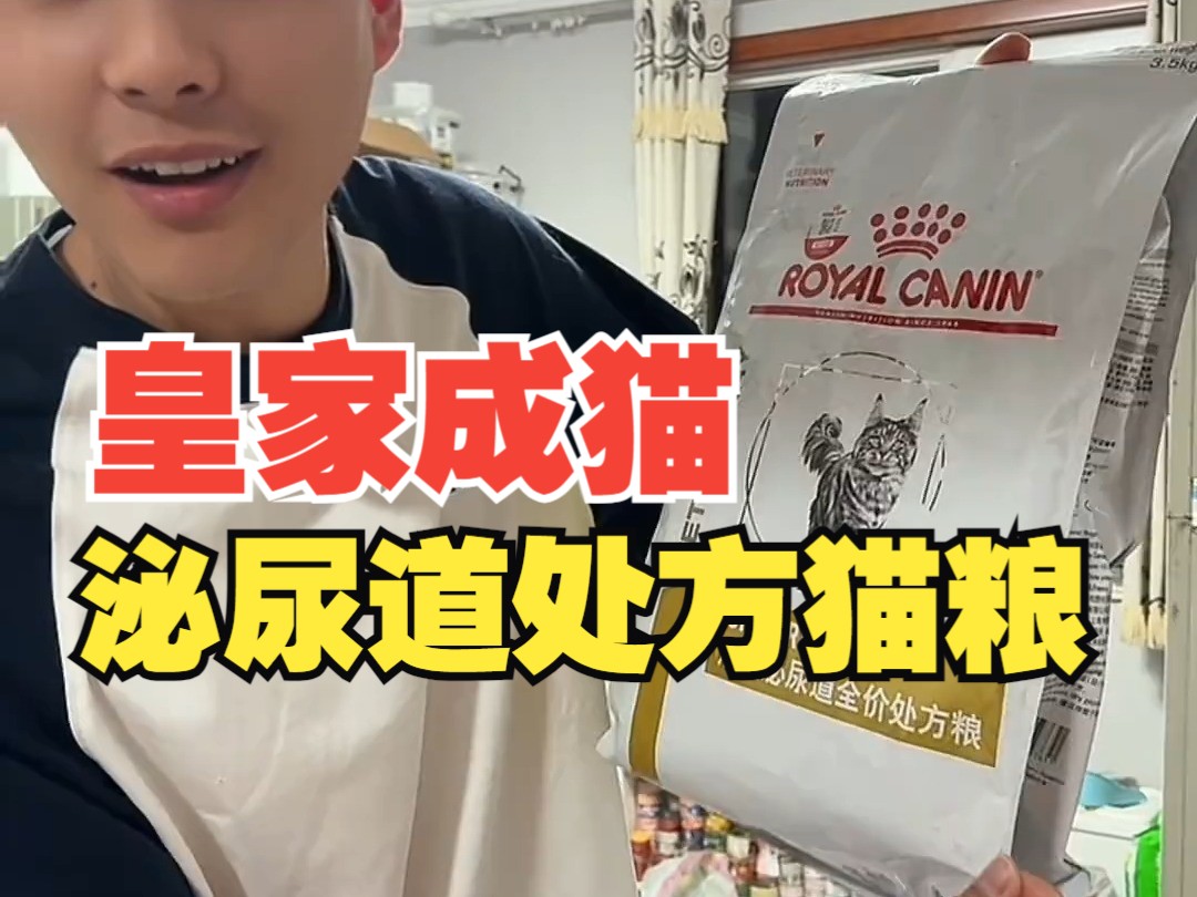 平替泌尿道处方粮猫咪尿闭 公猫尿闭 皇家猫粮