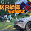 挑战跨省冷鲜运输比荔枝还难运的杨梅 乐道L60仙居采杨梅记