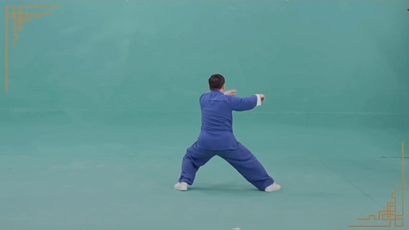 张东武陈式太极拳老架一路背面示范