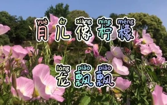 龙飘飘演唱《月儿像柠檬》每次听都让人沉醉其中，耐人寻味！