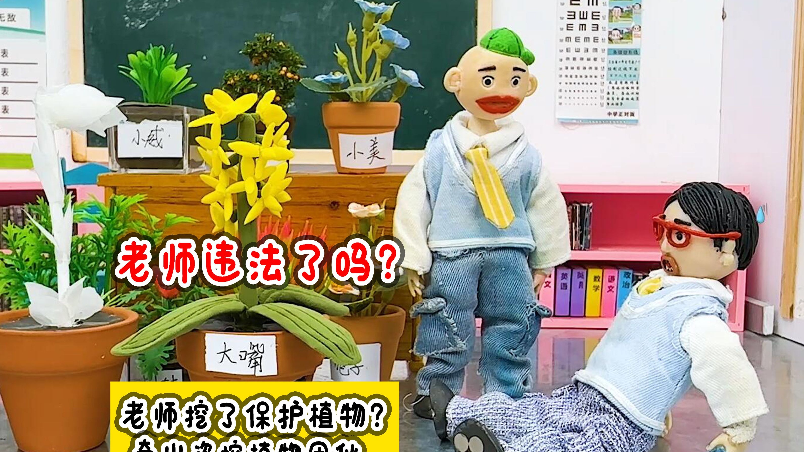 老师同学带的是保护植物？山上野花不能乱采啊！