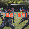 “猛虎”出动，谁与争锋