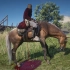 【荒野大镖客2】如何让玩家骑上会永久流血的马？