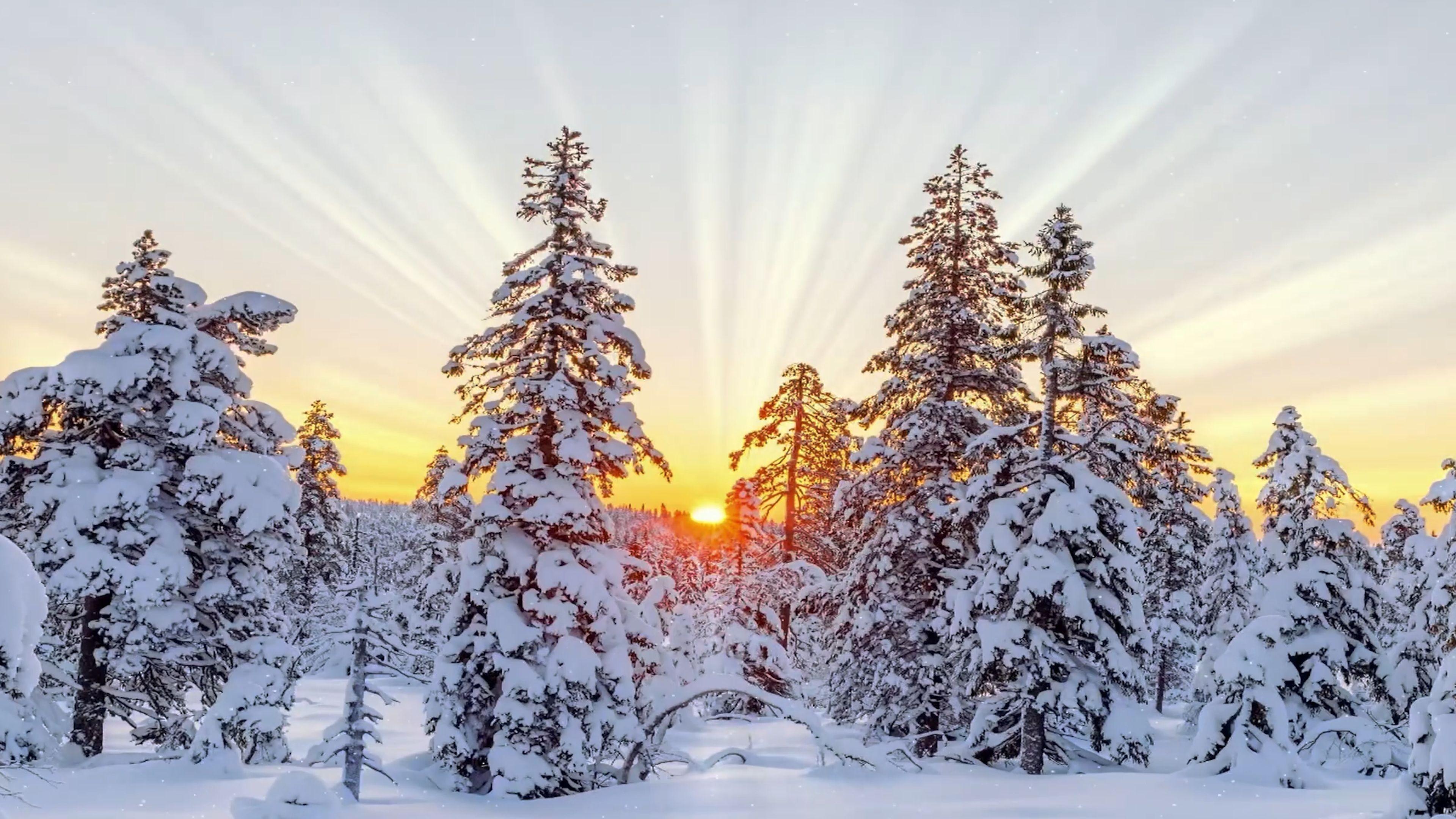 【4K-高码-超清无水印】Nega_music_project《On the other side of sunset》绝美纯音