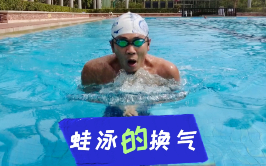 蛙泳轻松换气的秘密，脑袋换气和蛙泳手的配合（早呼吸、晚呼吸的区别）