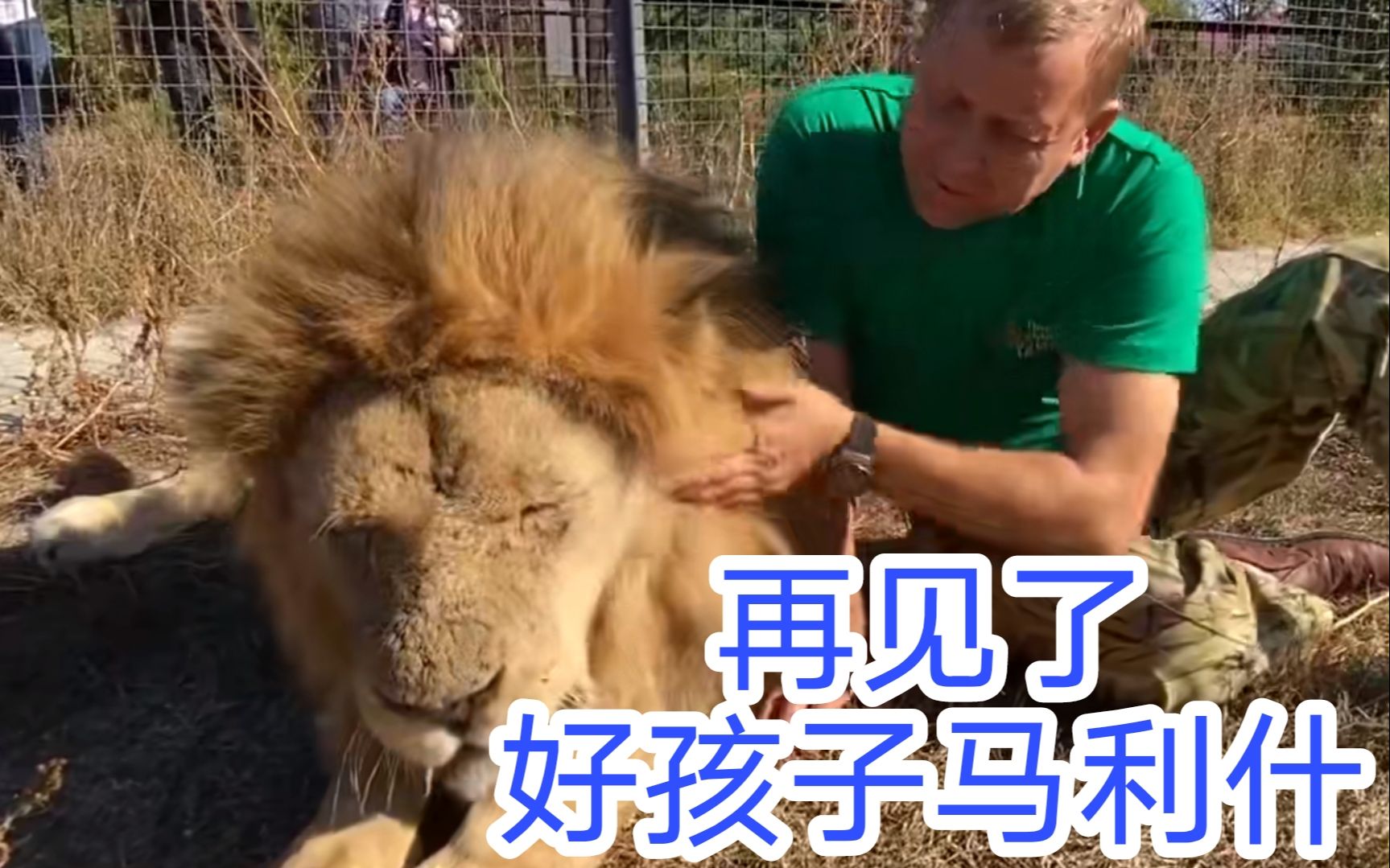 马利什是最乖的狮子开往未来的路没有人会往返