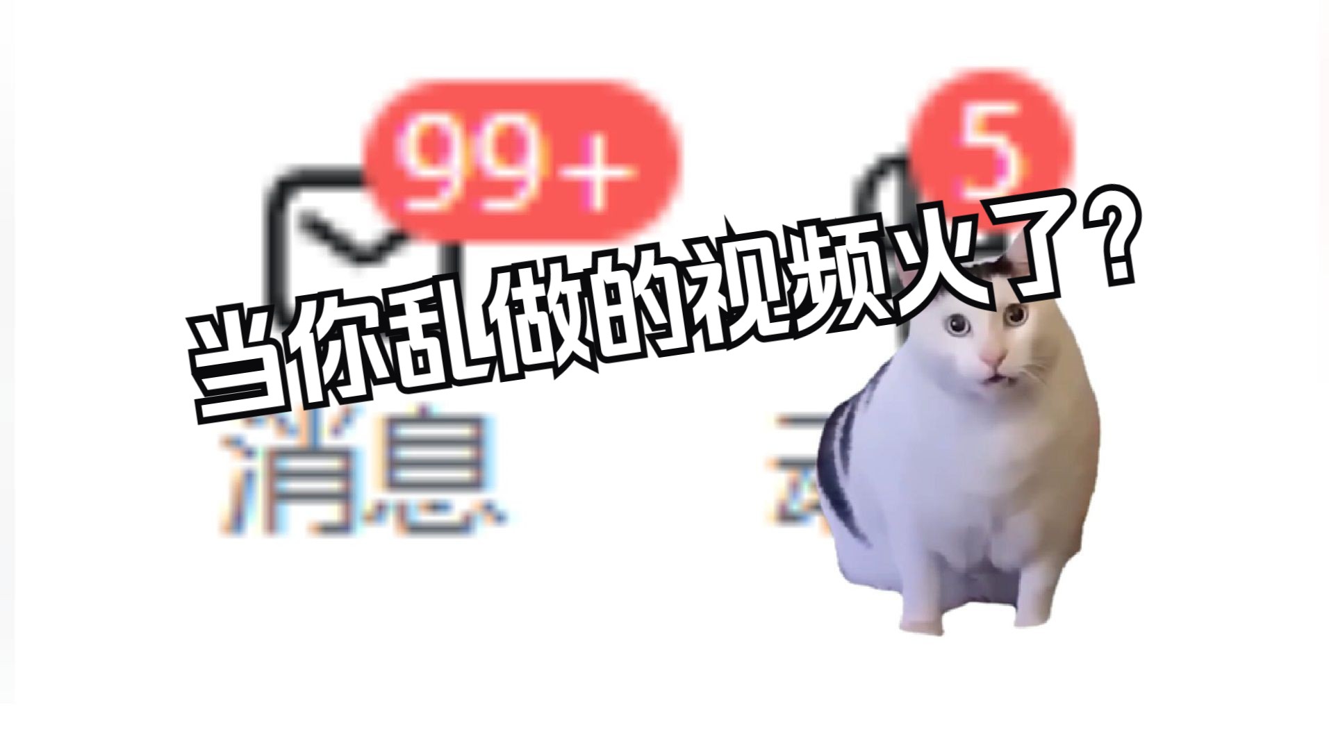 【猫meme】当你随便做的尴尬视频莫名其妙火了……