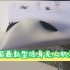 中国最新型隐身无人机星影惊艳亮相