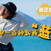 看风景，读报纸，逛集市，用哪种方式打开最本地的新西兰旅居生活