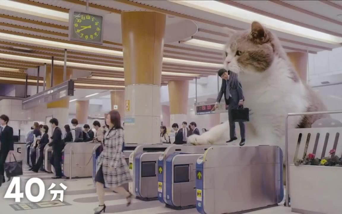 LOTTE 乐天口香糖广告巨猫Fits LINK CM 「开心上班去」篇 15s