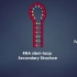 「Principle」RNA印记（诺瑟杂交）Northern Blot Method - Animation video