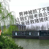 来商丘学院拯救GG爆