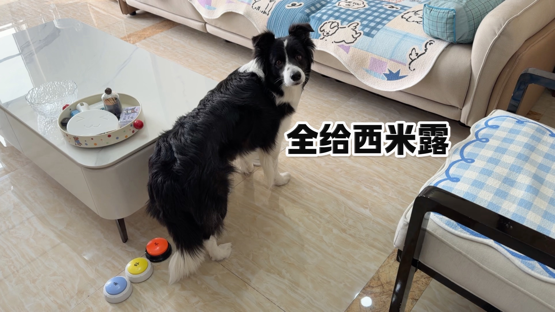 小狗：重新再来！