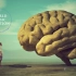 活化腦部音樂[60分鐘] 第八輯 腦部大揭秘 激活大腦前頭葉! 腦內海馬體 智力UP 記憶力UP