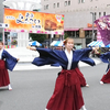【よさこい】日本伝統文化よさこい演舞　by桜華