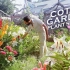 乡村风花园设计大师课之植物选择 | Cottage Garden Design Masterclass - Plant 