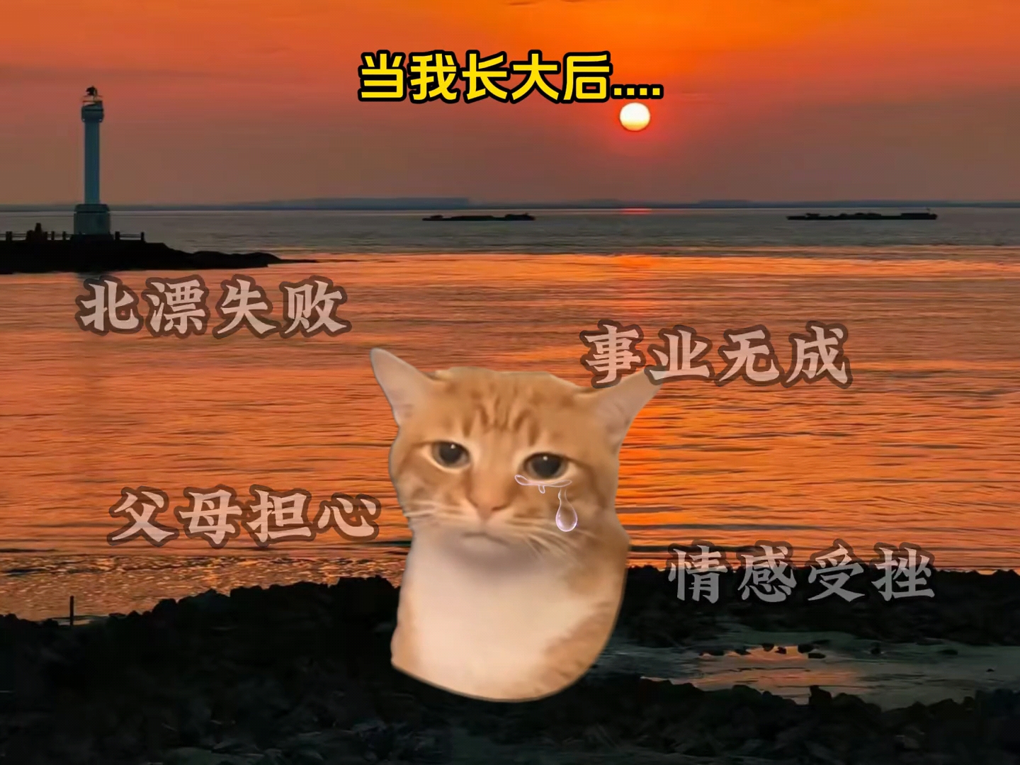 当我真正长大了，才读懂了项羽乌江自刎时的无奈