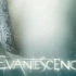 【Evanescence】Going Under 现场版+歌词版+MV