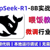 【喂饭教程】DeepSeek R1-8B蒸馏模型微调，从0开始手撕微调代码，本地运行调试，无需联网